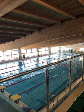 study veterinary swimming pool